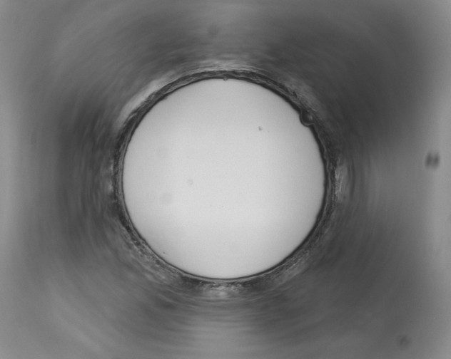 X0000112721165200910011125