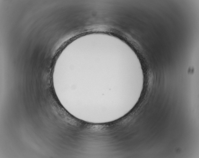 X0000112721166200910011125