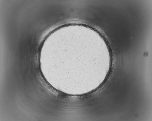 X0000112721167200910011125