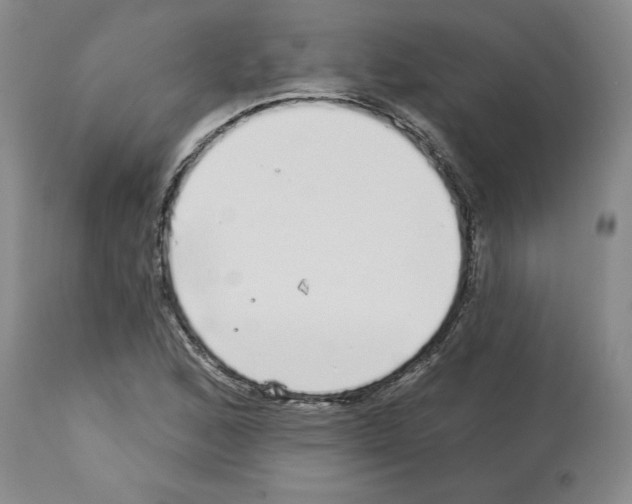 X0000112721168200910011125