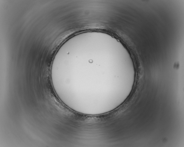 X0000112721169200910011125