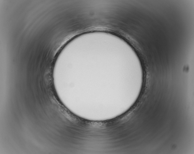 X0000112721170200910011125