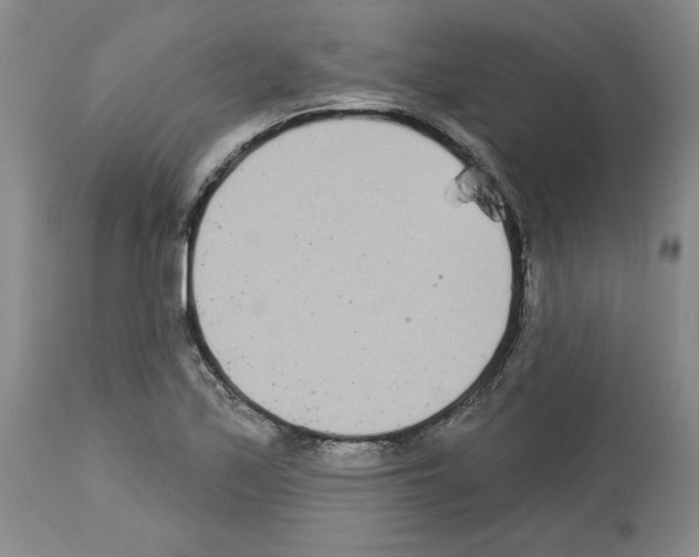 X0000112721171200910011125