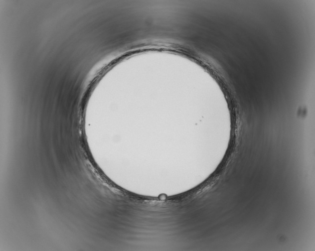 X0000112721172200910011125