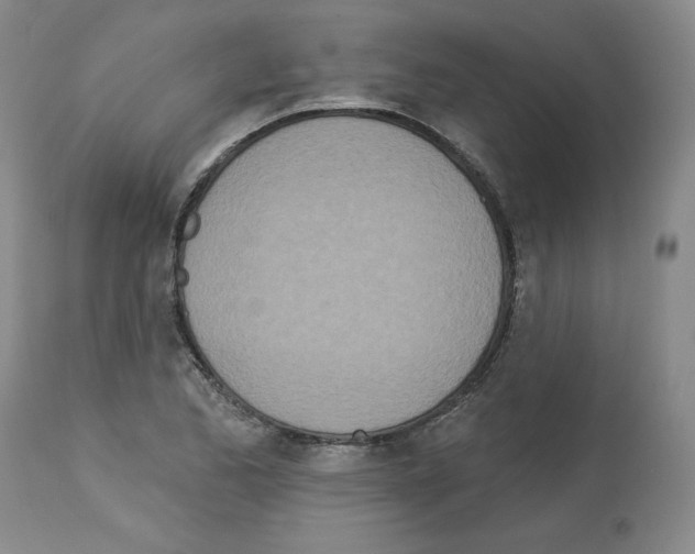 X0000112721173200910011125