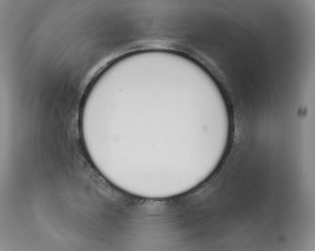 X0000112721174200910011125