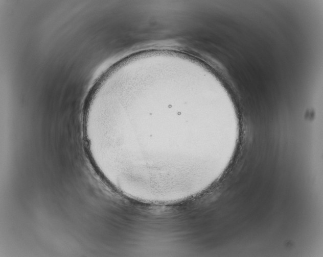 X0000112721176200910011125