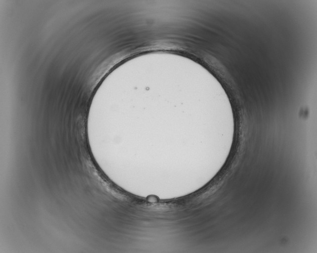 X0000112721177200910011125