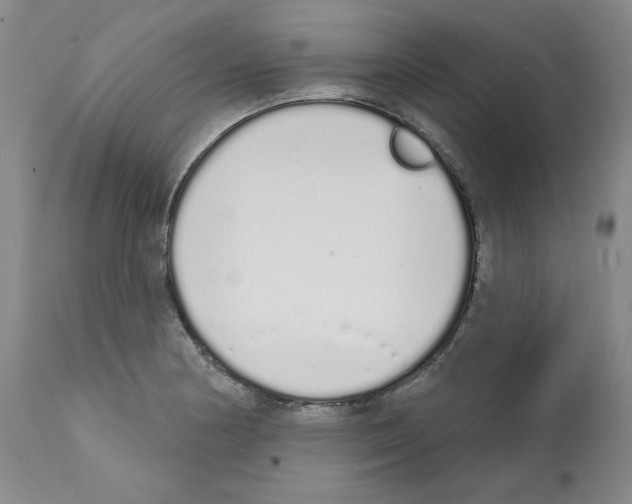 X0000112721178200910011125