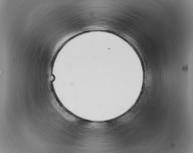 X0000112721179200910011125