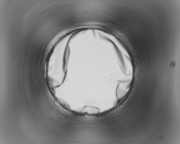 X0000112721180200910011125