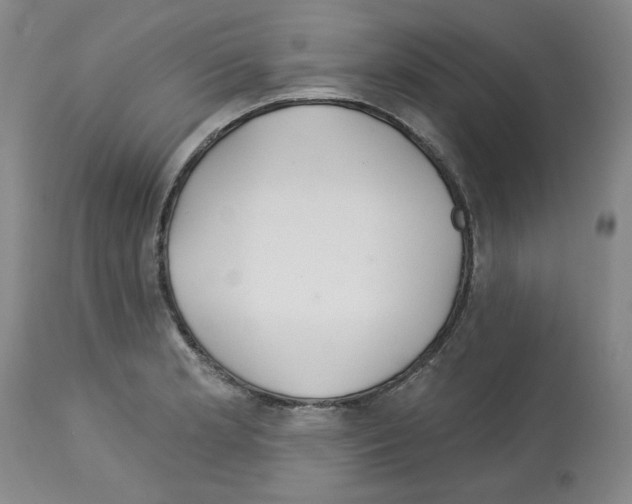 X0000112721181200910011124