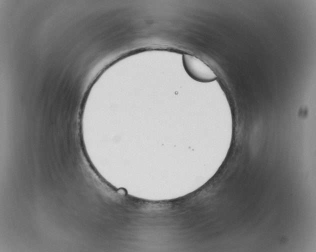 X0000112721183200910011124