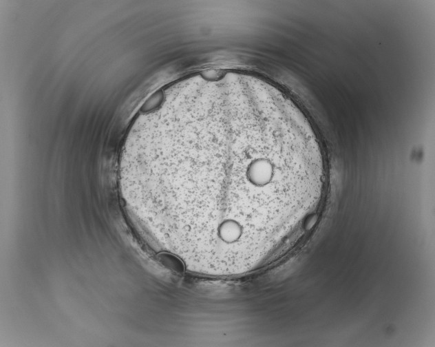 X0000112721185200910011124