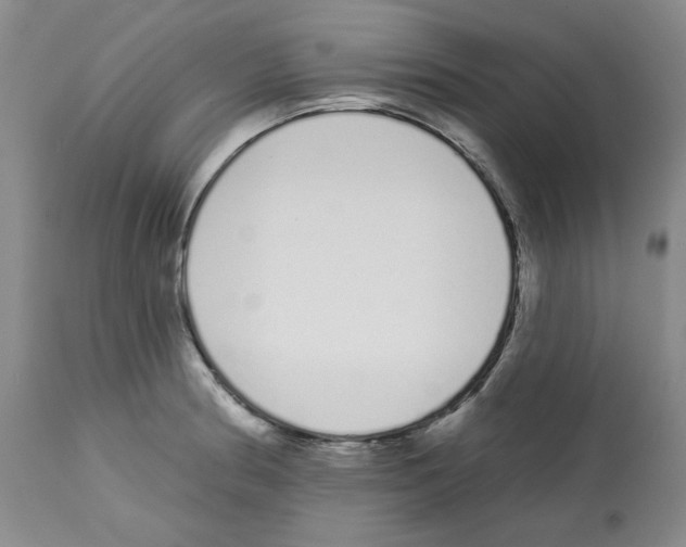 X0000112721186200910011124