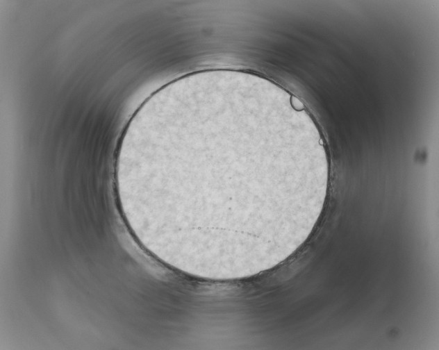 X0000112721187200910011124