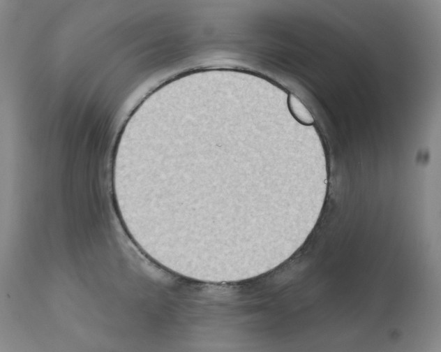 X0000112721191200910011124