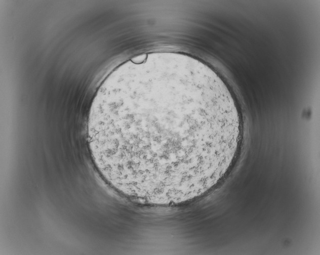 X0000112721193200910011124