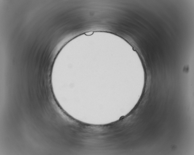 X0000112721197200910011124