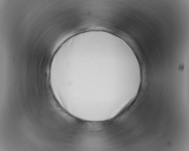 X0000112721198200910011124