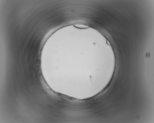 X0000112721200200910011124