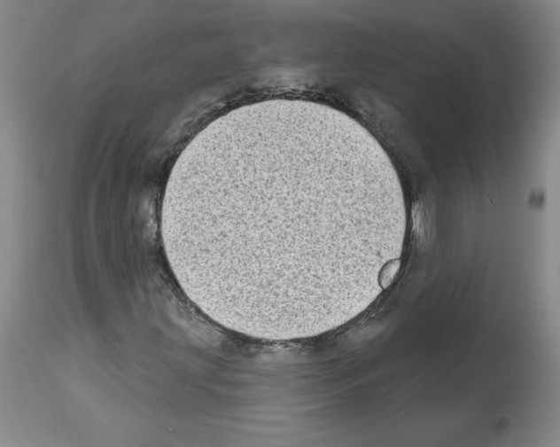 X0000112721203200910011124