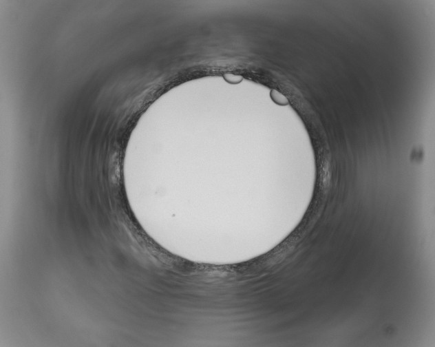 X0000112721204200910011124