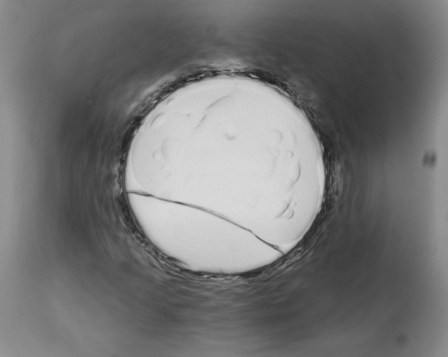 X0000112721205200910011124