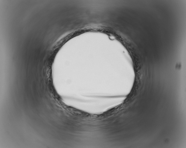 X0000112721206200910011124