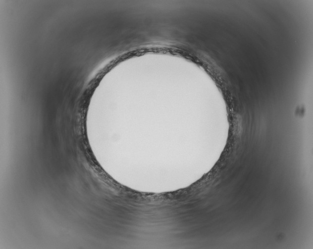 X0000112721208200910011124