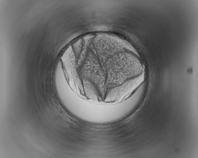 X0000112721209200910011124