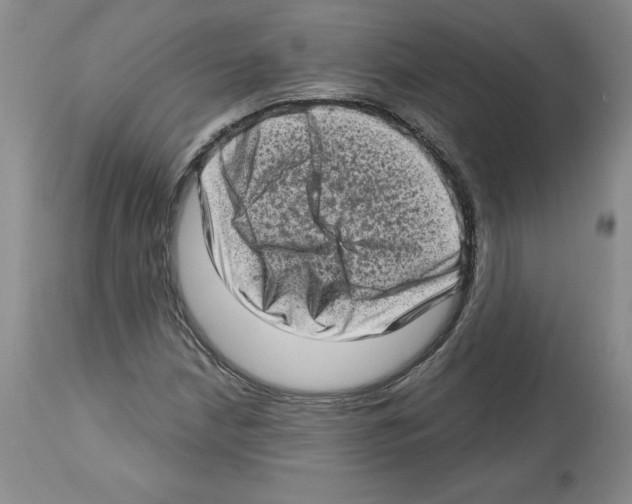 X0000112721210200910011124