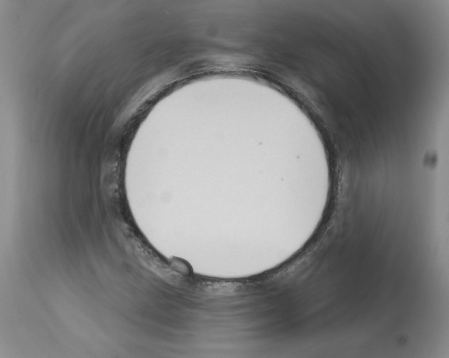 X0000112721211200910011124