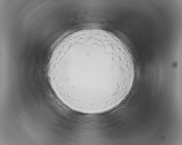 X0000112721212200910011124