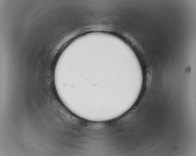 X0000112721213200910011124