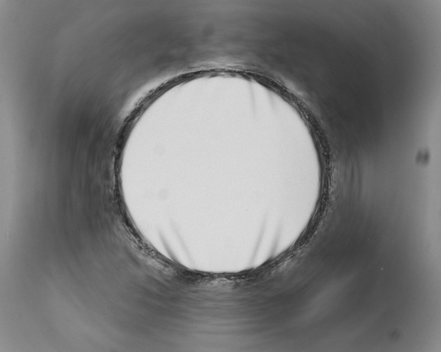 X0000112721214200910011124