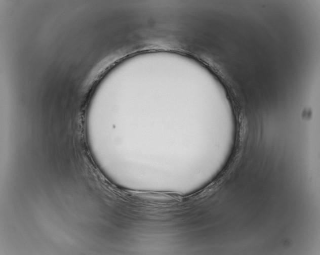 X0000112721215200910011124