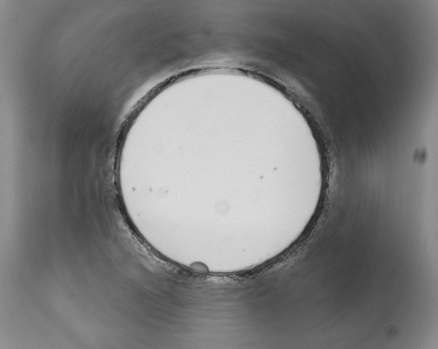 X0000112721216200910011124