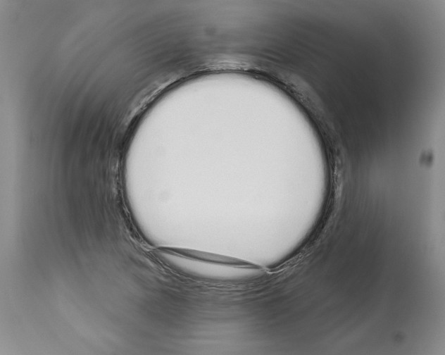 X0000112721217200910011124