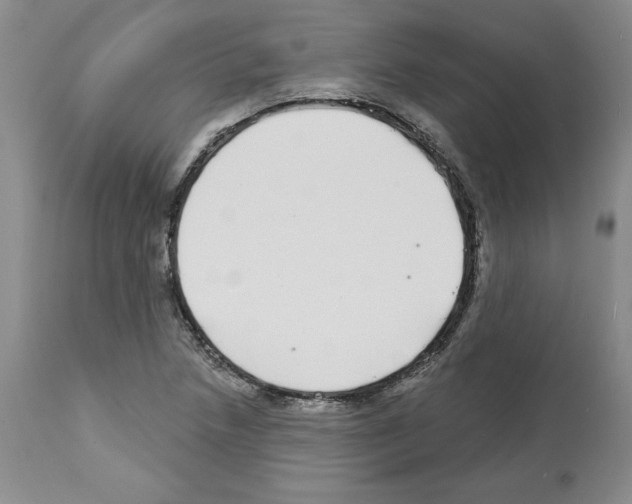 X0000112721218200910011124