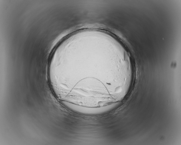 X0000112721221200910011124