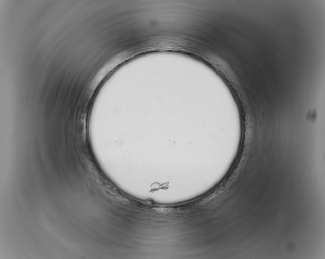 X0000112721226200910011124