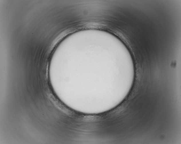 X0000112721227200910011124