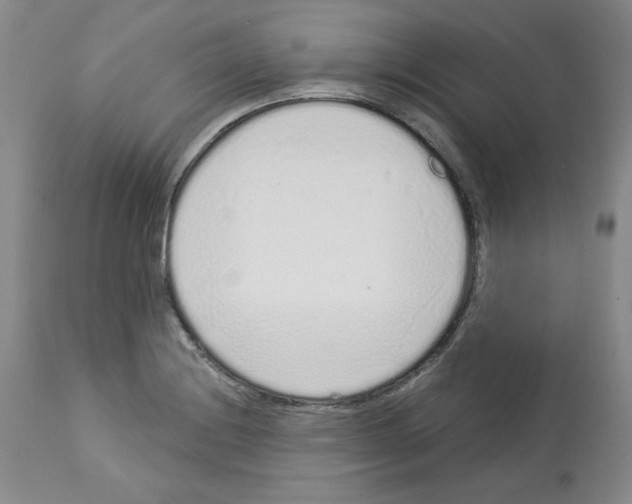 X0000112721228200910011124