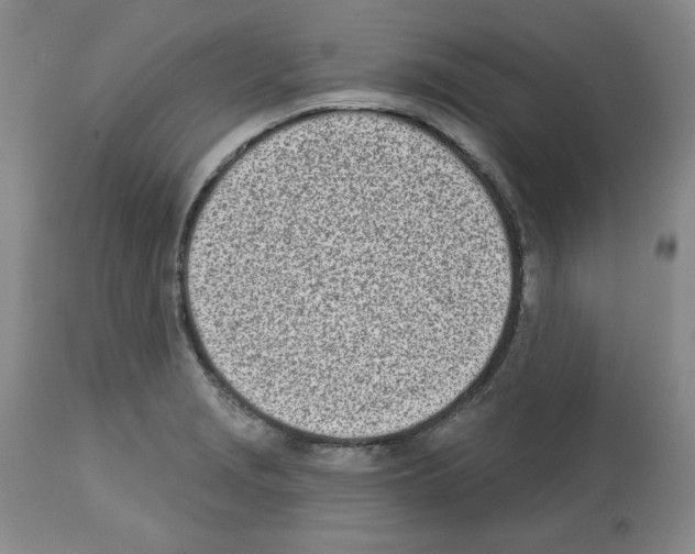 X0000112721229200910011124