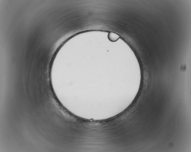 X0000112721230200910011124