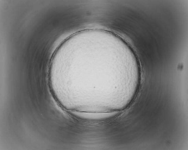 X0000112721231200910011124