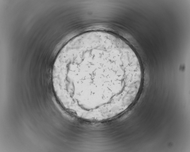 X0000112721233200910011124