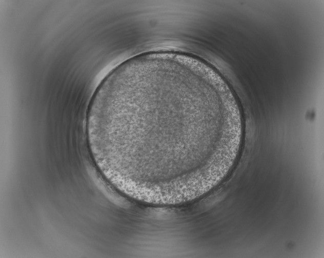 X0000112721234200910011124