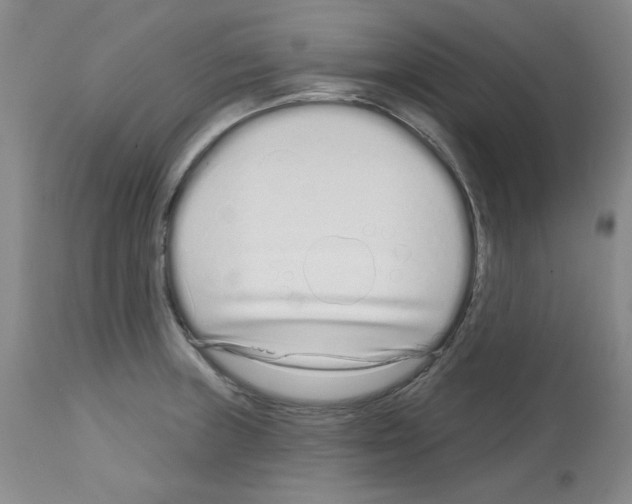 X0000112721235200910011124